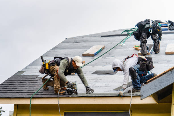 Professional Gutter Installation technician working in Gaylord, MN